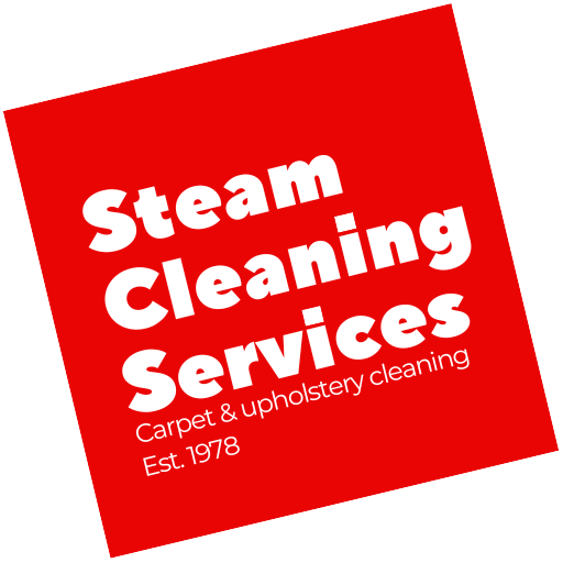 Steam Cleaning Services