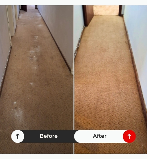 Carpet & Upholstery Cleaning