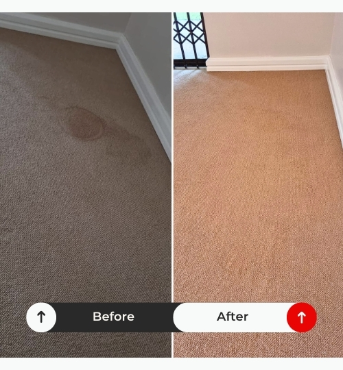 Carpet & Upholstery Cleaning