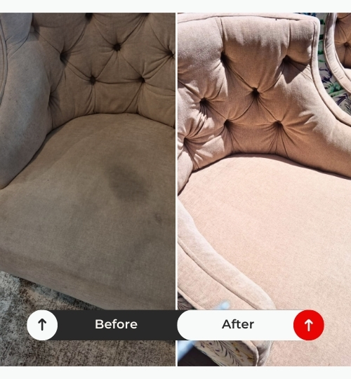 Upholstery Cleaning