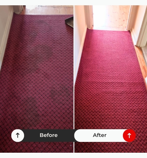 Carpet & Upholstery Cleaning