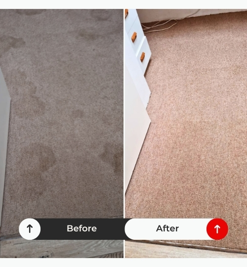 Carpet & Upholstery Cleaning